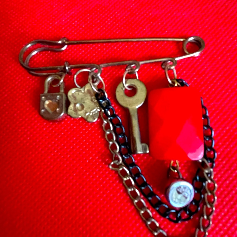 Kilt pin. Matches the necklace that you bought Kim!!😊
